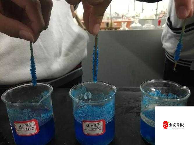 日本一品和二品区别喷水更新了：探究其背后的差异与变化