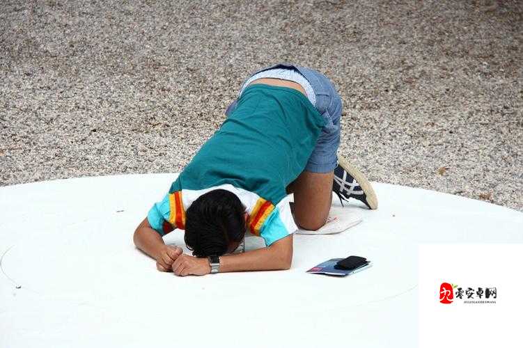 当跪着的主人走到面前时该如何应对