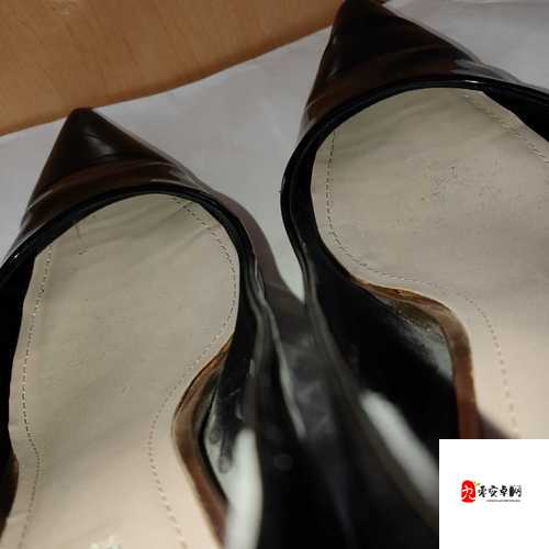 足のごめんはありません：关于脚部没有歉意这件事