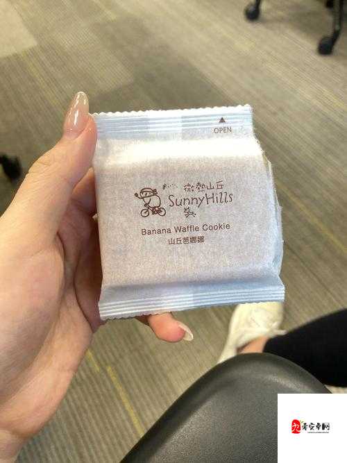 双胞胎一前 一后夹心饼干双子：探索奇妙的相似与不同