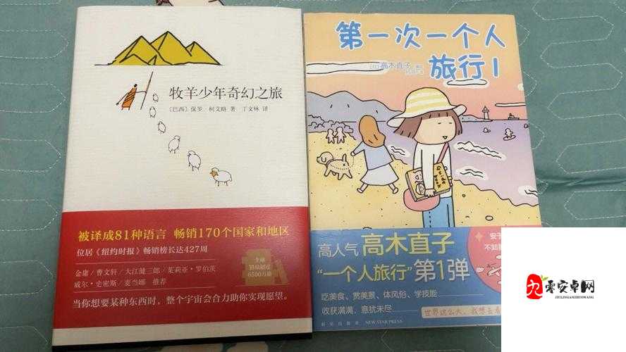 烈火宝贝满天星的奇幻冒险之旅