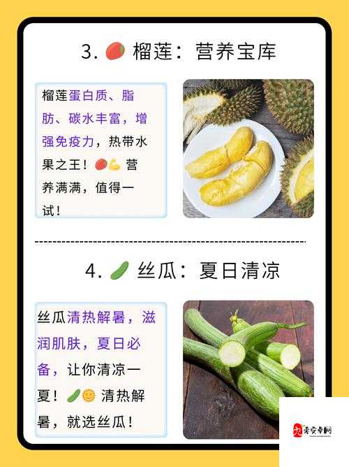 草莓向日葵黄瓜丝瓜汅：这些蔬果都有各自的特点和用途