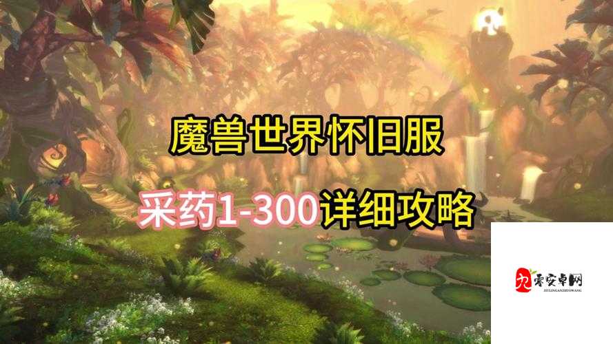 怀旧服采药150以后在哪学，资源管理、技巧提升与价值最大化