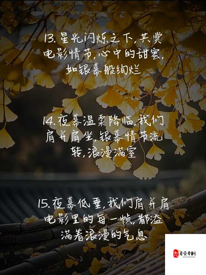 适合夫妻俩晚上看电影：在温馨光影中共度浪漫时光