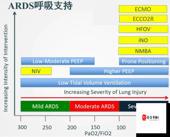 TES-vs-IG 经理笔记：深度剖析两队交锋背后的策略与思考
