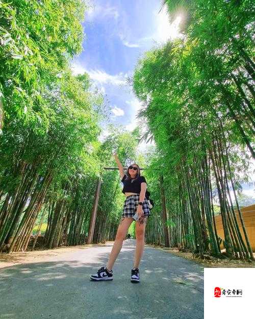 泰国日本娇小女人 6∽8xxxxxx：日本的诱惑与泰国的风情