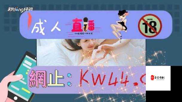 积枳桶积枳免费大全：涵盖丰富内容且完全免费的资源宝库