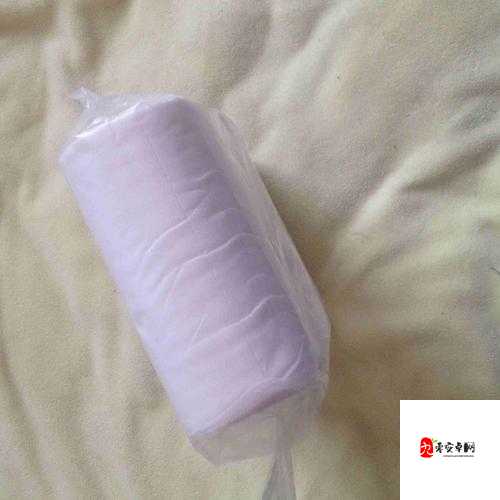 已满 18 岁准备好卫生纸吗转入：开启一段别样的体验之旅