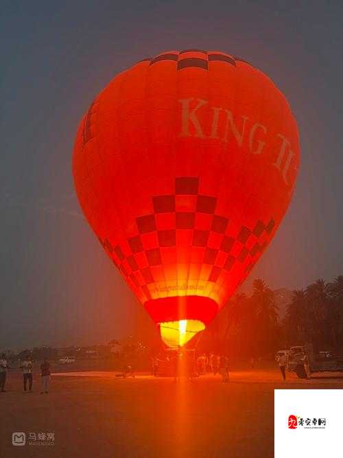 夕阳热气球，揭秘意志系统的奇幻之旅