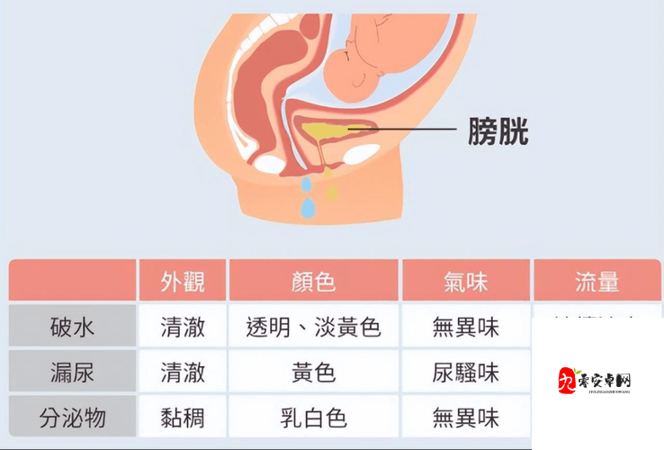 人进入羊水门最怕三种东西：恐惧、未知、危险