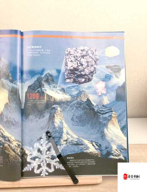 探索全新角色扮演系统（NPN）的奇妙之旅