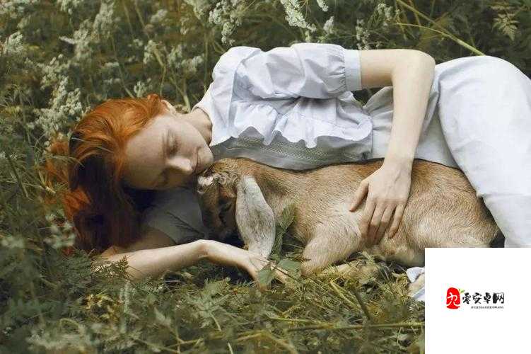 人与兽乂乂乂乂：人性与兽性的挣扎