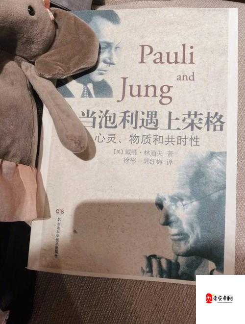 老年人性网址相关内容：探索与关注的独特视角