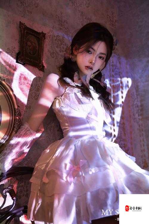 CERANETWORK 白与黑：探索神秘世界的奇幻之旅