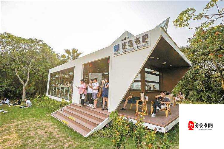 色书吧：一个充满独特氛围与文化魅力的场所