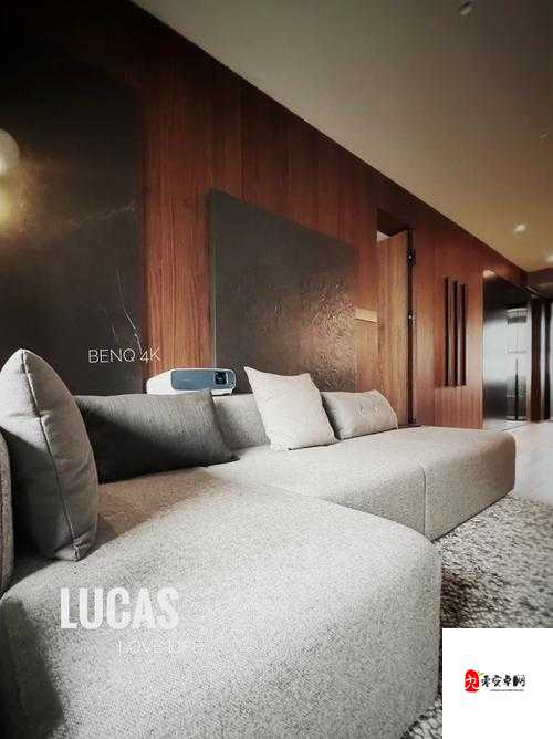 大陆 SPEAKINGATHOME 在哪里播放：探索未知的视听世界