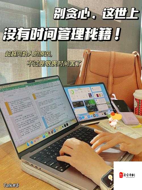 花与剑怎么进行摆摊，资源管理、高效利用与避免浪费的全面解析