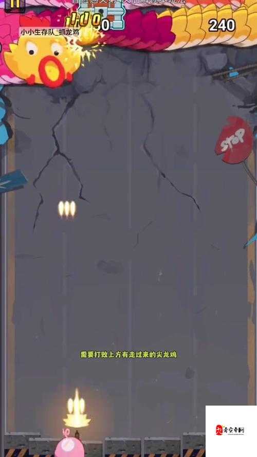 彩虹联萌更名攻略，轻松几步，打造专属你的游戏昵称