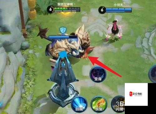 变身大作战玩法解析与资源管理优化