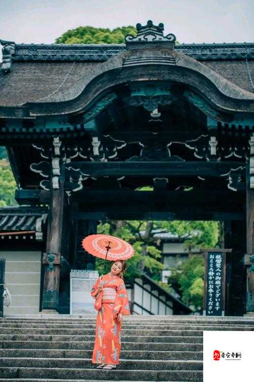 樱花官方网站 IMMONE 用户的精彩之旅：畅享独特体验