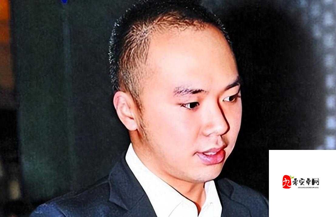 91 李宗瑞苦瓜网事件始末全揭秘