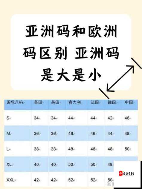 亚洲 M 码、欧洲 S 码：尺码的国际标准与时尚密码