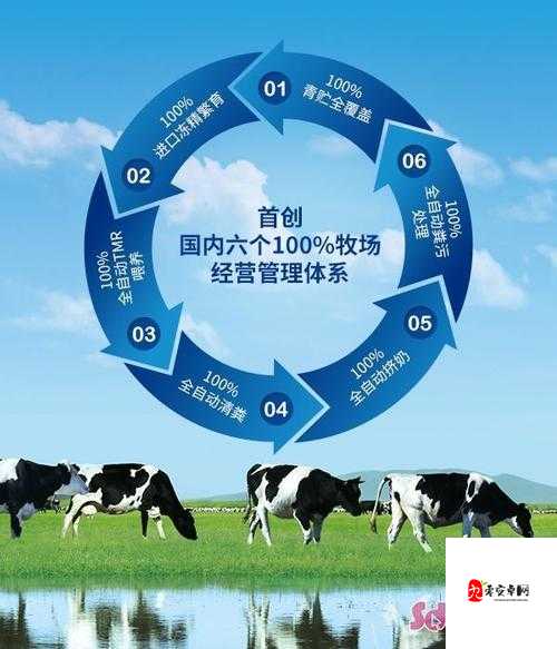 奶牛福利导航：全面提升奶牛生活质量与保障的指南