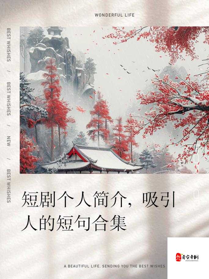 人与另类 Z0Z XHD 的奇妙故事：探索未知的世界