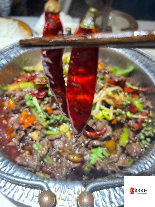 火辣辣福 Welcome 内江市：探寻这座城市的独特魅力与风情