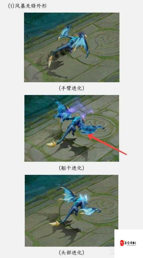 王者荣耀风暴龙王属性深度解析