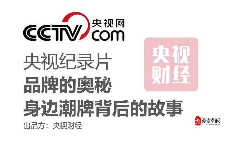 站着从后面是否要紧一些之探讨：深入剖析背后的奥秘