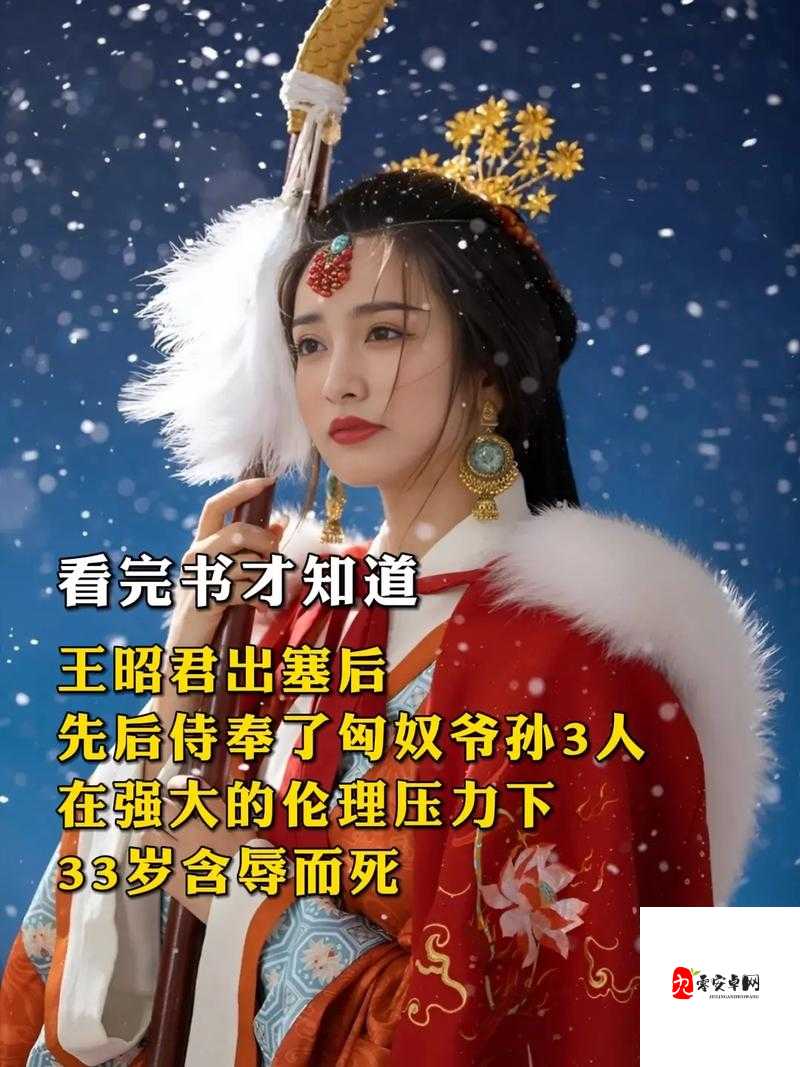 一把抓住王昭君的两只兔子：探秘背后的奇妙故事