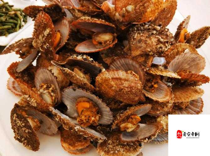 佐山爱丈夫带朋友去饭店吃饭：一次特别的聚会之旅