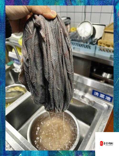 毛肚毛肚你怎么了是什么梗，在资源管理中的深度解析与应用策略