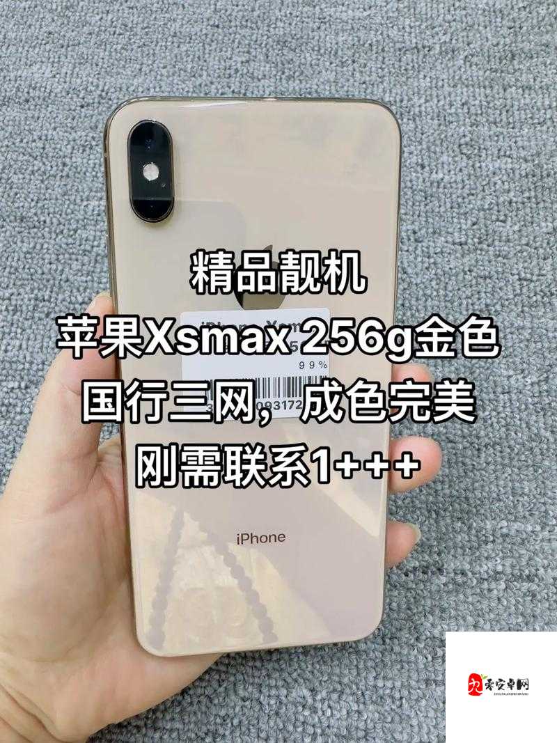 IPHONEXSMAX 欧美高级：时尚潮流与精湛工艺的完美融合
