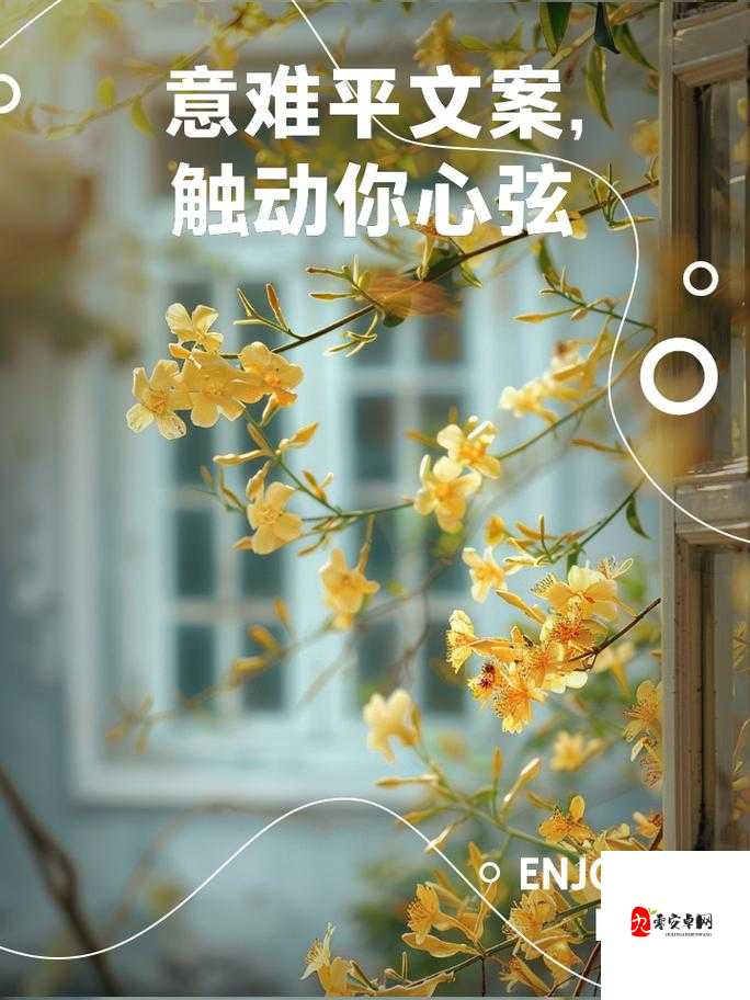 仿佛还看见昨日那张悲伤的脸庞，是哪首歌触动了你的心弦？