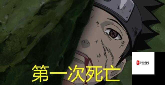 野原琳之死，谁才是背后的推手？