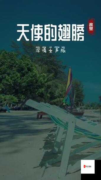 相信你还在这里，从不曾离去，探寻天使的翅膀背后的深情