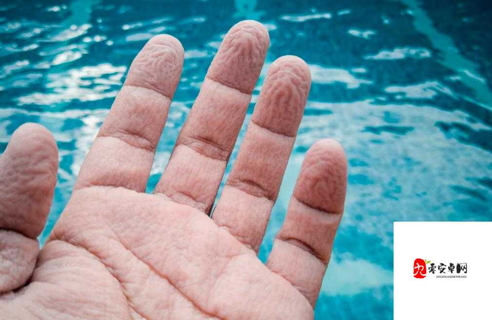 为什么手指划入缝隙挖水：探究手指行为背后的原因