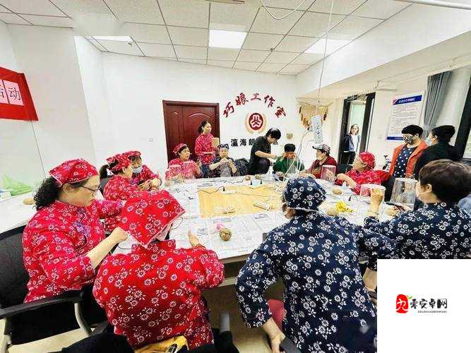 大巧娘和大庆第 41 回的区别-深入分析两者差异与特点