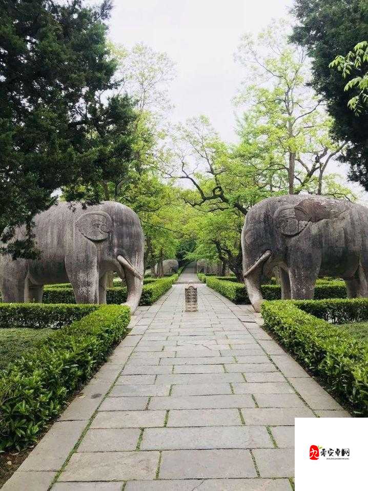 中国 XXXXX669：探寻中国文化的奥秘与魅力