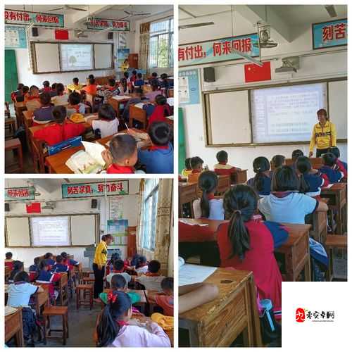 关于 xx69 的独特探索与发现