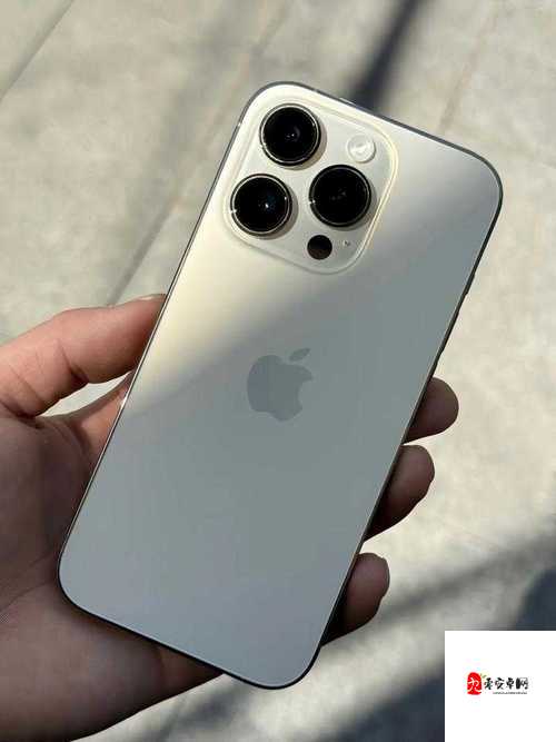 俄罗斯 iPhone-14-Pro：科技与艺术的完美融合