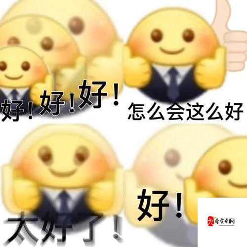 办公室奇遇记：一场充满惊喜与挑战的职场奇妙之旅