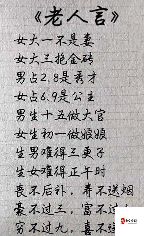 老师你听我解释啊第12关通关秘籍，智慧与幽默的碰撞