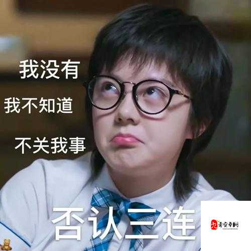 老师你听我解释啊第10关怎么过，在游戏资源管理中的智慧与实践