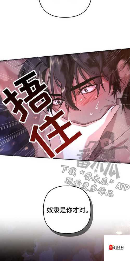 羞羞漫画在线观看：打造极致体验