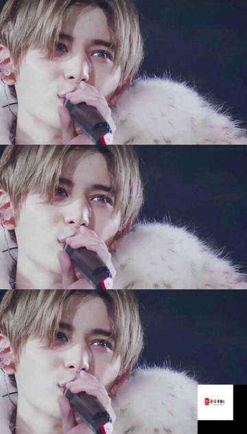 麻豆精产品一二三的区别：质量、功效与价格