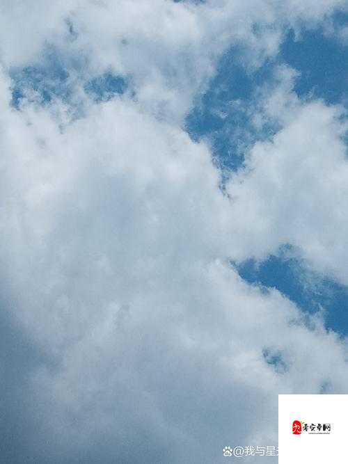 风与天空的浪漫哲学，我拦不住风，也抱不住整片天空