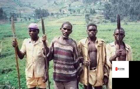 非洲人性功能强大的原因究竟为何